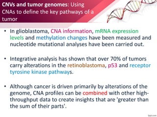 • In glioblastoma, CNA information, mRNA expression
levels and methylation changes have been measured and
nucleotide mutational analyses have been carried out.
• Integrative analysis has shown that over 70% of tumors
carry alterations in the retinoblastoma, p53 and receptor
tyrosine kinase pathways.
• Although cancer is driven primarily by alterations of the
genome, CNA profiles can be combined with other high-
throughput data to create insights that are 'greater than
the sum of their parts'.
CNVs and tumor genomes: Using
CNAs to define the key pathways of a
tumor
 