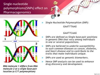 Single-nucleotide
polymorphisms(SNPs) effect on
Pharmacogenomics
 Single Nucleotide Polymorphism (SNP):
GAATTTAAG
GAATTCAAG
 SNPs are defined as Single base-pair positions
in genomic DNA that vary among individuals
in one or several populations.
 SNPs are believed to underlie susceptibility
to such common diseases as cancer, diabetes,
and heart disease and to contribute to the
traits that make individuals unique.
 SNPs are used as genomic biomarkers.
 Hence SNP analysis can be used to enhance
drug discovery and development.
DNA molecule 1 differs from DNA
molecule 2 at a single base-pair
location (a C/T polymorphism)
 
