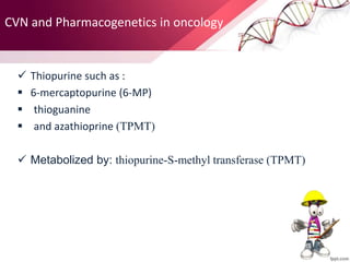  Thiopurine such as :
 6-mercaptopurine (6-MP)
 thioguanine
 and azathioprine (TPMT)
 Metabolized by: thiopurine-S-methyl transferase (TPMT)
CVN and Pharmacogenetics in oncology
 