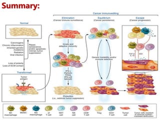 Cancer and the Immune System | PPTX