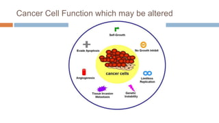 Cancer Cell Function which may be altered
 