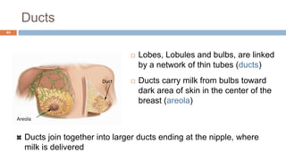 Ducts
44
 Lobes, Lobules and bulbs, are linked
by a network of thin tubes (ducts)
 Ducts carry milk from bulbs toward
dark area of skin in the center of the
breast (areola)
Ducts join together into larger ducts ending at the nipple, where
milk is delivered
Duct
Areola
 