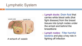 Lymphatic System
46
 Lymph ducts: Drain fluid that
carries white blood cells (that
fight disease) from the breast
tissues into lymph nodes under
the armpit and behind the
breastbone
 Lymph nodes: Filter harmful
bacteria and play a key role in
fighting off infectionA network of vessels
Lymph ductLymph node
 