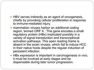  HBV serves indirectly as an agent of oncogenesis,
chiefly by provoking cellular proliferation in response
to immune-mediated injury.
 mammalian viruses harbor an additional coding
region, termed ORF X . This gene encodes a small
regulatory protein (HBx) implicated possibly in a
variety of signal transduction and transcriptional
activation pathways. This open reading frame is
absent in the avian viruses, which fail to induce HCC
in their native hosts despite the regular induction of
persistent infection.
 HBx expression is important in carcinogenesis in vivo,
it must be involved at early stages and be
dispensable during later tumor progression.
 