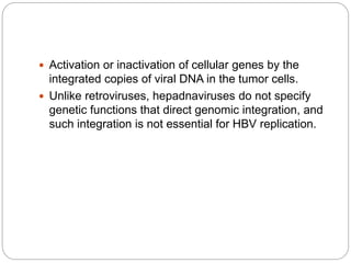  Activation or inactivation of cellular genes by the
integrated copies of viral DNA in the tumor cells.
 Unlike retroviruses, hepadnaviruses do not specify
genetic functions that direct genomic integration, and
such integration is not essential for HBV replication.
 