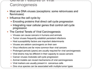 General Features of Viral
Carcinogenesis
 Most are DNA viruses (exceptions: some retroviruses and
flaviviruses)
 Influence the cell cycle by
 Encoding proteins that direct cell cycle progression
 Integrating near cellular genes that control cell cycle
progression
 The Central Tenets of Viral Carcinogenesis
 Viruses can cause cancers in humans and animals
 Tumor viruses frequently establish persistent infections
 Host susceptibility factors are important determinants
 Viruses are seldom carcinogenic on their own
 Virus infections are far more common than viral cancers
 Prolonged periods (years) are usually required for viral carcinogenesis
 Viral strains may be different in their capacity to cause cancers
 Cancer viruses modulate cell cycle progression
 Animal models can reveal mechanisms of viral carcinogenesis
 Viral markers are usually present in cancerous cells
 One virus species can be associated with multiple tumor types
 