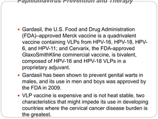 Papillomavirus Prevention and Therapy
 Gardasil, the U.S. Food and Drug Administration
(FDA)–approved Merck vaccine is a quadrivalent
vaccine containing VLPs from HPV-16, HPV-18, HPV-
6, and HPV-11; and Cervarix, the FDA-approved
GlaxoSmithKline commercial vaccine, is bivalent,
composed of HPV-16 and HPV-18 VLPs in a
proprietary adjuvant.
 Gardasil has been shown to prevent genital warts in
males, and its use in men and boys was approved by
the FDA in 2009.
 VLP vaccine is expensive and is not heat stable, two
characteristics that might impede its use in developing
countries where the cervical cancer disease burden is
the greatest.
 