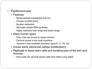  Papillomaviruses
 Features
 Nonenveloped icosahedral (55 nm)
 Circular ds-DNA (8 kb)
 Nuclear replication
 Stimulate cellular DNA synthesis
 Highly restricted host range and tissue range
 Many human types
 Only a few are known to cause cancers
 Cervical cancer is the most important
 Vaccine is now available (Gardasil; types 6, 11, 16, 18)
 Cause warts (abnormal cellular proliferation)
 Replicate in basal stem cells and keratinocytes of the skin and
mucosa
 HeLa cells are cervical cancer cells from Helen Lang (fatal)
 