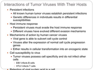 Interactions of Tumor Viruses With Their Hosts
 Persistent infections
 All known human tumor viruses establish persistent infections
 Genetic differences in individuals results in differential
susceptibilities
 Host immune response
 Persistent viruses must evade the host immune response
 Different viruses have evolved different evasion mechanisms
 Mechanisms of action by human cancer viruses
 Viral gene is able to subvert cell cycle control
 Viruses alter the expression of normal cell cycle progression
genes
 Either results in cellular transformation into an oncogenic state
 Cell susceptibility to virus
 Tumor viruses possess cell specificity and do not infect other
cells
 EBV infects B cells
 HTLV infects T cells
 