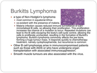 Burkitts Lymphoma
 a type of Non-Hodgkin's lymphoma
 most common in equatorial Africa
 co-existent with the presence of malaria.
 Malaria infection causes reduced immune surveillance of EBV
immortalised B cells, so allowing their proliferation. This proliferation
increases the chance of a mutation to occur. Repeated mutations can
lead to the B cells escaping the body's cell-cycle control, allowing the
cells to proliferate unchecked, resulting in the formation of Burkitt's
lymphoma. Burkitt's lymphoma commonly affects the jaw bone,
forming a huge tumour mass. It responds quickly to chemotherapy
treatment, namely cyclophosphamide, but recurrence is common.
 Other B cell lymphomas arise in immunocompromised patients
such as those with AIDS or who have undergone organ
transplantation with associated immunosuppression.
 Smooth muscle tumours are also associated with the virus.
 