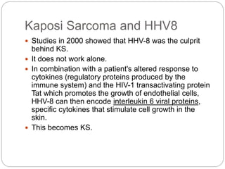 Kaposi Sarcoma and HHV8
 Studies in 2000 showed that HHV-8 was the culprit
behind KS.
 It does not work alone.
 In combination with a patient's altered response to
cytokines (regulatory proteins produced by the
immune system) and the HIV-1 transactivating protein
Tat which promotes the growth of endothelial cells,
HHV-8 can then encode interleukin 6 viral proteins,
specific cytokines that stimulate cell growth in the
skin.
 This becomes KS.
 