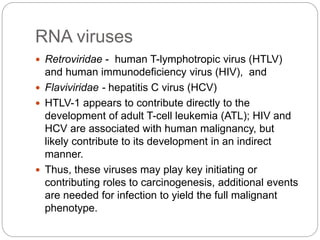 RNA viruses
 Retroviridae - human T-lymphotropic virus (HTLV)
and human immunodeficiency virus (HIV), and
 Flaviviridae - hepatitis C virus (HCV)
 HTLV-1 appears to contribute directly to the
development of adult T-cell leukemia (ATL); HIV and
HCV are associated with human malignancy, but
likely contribute to its development in an indirect
manner.
 Thus, these viruses may play key initiating or
contributing roles to carcinogenesis, additional events
are needed for infection to yield the full malignant
phenotype.
 