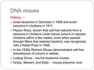 DNA virsues
History :-
 Avian leukemia in Denmark in 1908 and avian
sarcoma in chickens in 1911.
 Peyton Rous, shown that cell free extracts from a
sarcoma in chickens could induce tumors in injected
chickens within a few weeks, even when passed
through filters that retained bacteria, was recognized
with a Nobel Prize in 1968.
 In the 1930s Richard Shope demonstrated cell free
transmission of tumors in rabbits.
 Ludwig Gross - murine leukemia viruses.
 Gross, Stewart, and Eddy - mouse polyoma virus
 