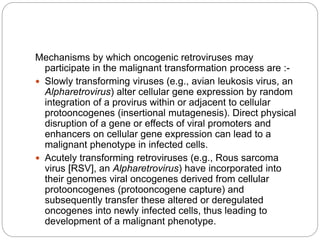 Mechanisms by which oncogenic retroviruses may
participate in the malignant transformation process are :-
 Slowly transforming viruses (e.g., avian leukosis virus, an
Alpharetrovirus) alter cellular gene expression by random
integration of a provirus within or adjacent to cellular
protooncogenes (insertional mutagenesis). Direct physical
disruption of a gene or effects of viral promoters and
enhancers on cellular gene expression can lead to a
malignant phenotype in infected cells.
 Acutely transforming retroviruses (e.g., Rous sarcoma
virus [RSV], an Alpharetrovirus) have incorporated into
their genomes viral oncogenes derived from cellular
protooncogenes (protooncogene capture) and
subsequently transfer these altered or deregulated
oncogenes into newly infected cells, thus leading to
development of a malignant phenotype.
 