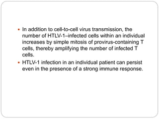  In addition to cell-to-cell virus transmission, the
number of HTLV-1–infected cells within an individual
increases by simple mitosis of provirus-containing T
cells, thereby amplifying the number of infected T
cells.
 HTLV-1 infection in an individual patient can persist
even in the presence of a strong immune response.
 