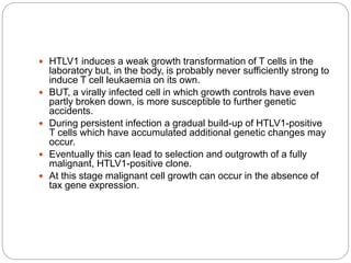  HTLV1 induces a weak growth transformation of T cells in the
laboratory but, in the body, is probably never sufficiently strong to
induce T cell leukaemia on its own.
 BUT, a virally infected cell in which growth controls have even
partly broken down, is more susceptible to further genetic
accidents.
 During persistent infection a gradual build-up of HTLV1-positive
T cells which have accumulated additional genetic changes may
occur.
 Eventually this can lead to selection and outgrowth of a fully
malignant, HTLV1-positive clone.
 At this stage malignant cell growth can occur in the absence of
tax gene expression.
 