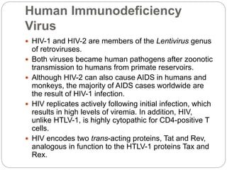 Human Immunodeficiency
Virus
 HIV-1 and HIV-2 are members of the Lentivirus genus
of retroviruses.
 Both viruses became human pathogens after zoonotic
transmission to humans from primate reservoirs.
 Although HIV-2 can also cause AIDS in humans and
monkeys, the majority of AIDS cases worldwide are
the result of HIV-1 infection.
 HIV replicates actively following initial infection, which
results in high levels of viremia. In addition, HIV,
unlike HTLV-1, is highly cytopathic for CD4-positive T
cells.
 HIV encodes two trans-acting proteins, Tat and Rev,
analogous in function to the HTLV-1 proteins Tax and
Rex.
 