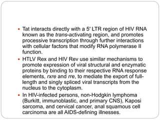  Tat interacts directly with a 5′ LTR region of HIV RNA
known as the trans-activating region, and promotes
processive transcription through further interactions
with cellular factors that modify RNA polymerase II
function.
 HTLV Rex and HIV Rev use similar mechanisms to
promote expression of viral structural and enzymatic
proteins by binding to their respective RNA response
elements, rxre and rre, to mediate the export of full-
length and singly spliced viral transcripts from the
nucleus to the cytoplasm.
 In HIV-infected persons, non-Hodgkin lymphoma
(Burkitt, immunoblastic, and primary CNS), Kaposi
sarcoma, and cervical cancer, anal squamous cell
carcinoma are all AIDS-defining illnesses.
 