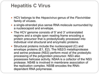 Hepatitis C Virus
 HCV belongs to the Hepacivirus genus of the Flaviviridae
family of viruses.
 a single-stranded plus sense RNA molecule surrounded by
a nucleocapsid and envelope.
 The HCV genome consists of 5′ and 3′ untranslated
regions and a single open reading frame encoding a
protein precursor that is proteolytically processed into
individual viral structural and enzymatic proteins.
 Structural proteins include the nucleocapsid (C) and
envelope proteins (E1, E2). The NS2/3 metalloprotease
and serine protease (NS3) perform most of the proteolytic
processing of the polyprotein precursor. NS3 also
possesses helicase activity. NS4A is a cofactor of the NS3
protease. NS4B is involved in membrane association of
the replication complex. NS5B encodes the RNA-
dependent RNA polymerase.
 