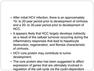  After initial HCV infection, there is an approximately
10- to 20-year period prior to development of cirrhosis
and a 20- to 30-year period prior to development of
HCC.
 It appears likely that HCC largely develops indirectly
as a result of the cellular turnover occurring during the
inflammatory responses that lead to hepatocyte
destruction, regeneration, and fibrosis characteristic
of cirrhosis.
 HCV core protein may contribute to tumor
development.
 The core protein also has been suggested to affect
expression of genes that are ultimately involved in
regulation of the cell cycle via the cyclin-dependent
 