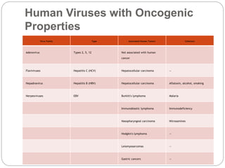 Human Viruses with Oncogenic
Properties
Virus Family Type Associated Human Tumors Cofactors
Adenovirus Types 2, 5, 12 Not associated with human
cancer
Flaviviruses Hepatitis C (HCV) Hepatocellular carcinoma —
Hepadnavirus Hepatitis B (HBV) Hepatocellular carcinoma Aflatoxin, alcohol, smoking
Herpesviruses EBV Burkitt's lymphoma Malaria
Immunoblastic lymphoma Immunodeficiency
Nasopharyngeal carcinoma Nitrosamines
Hodgkin's lymphoma —
Leiomyosarcomas —
Gastric cancers —
 