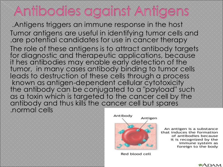 Cancer antigens 03