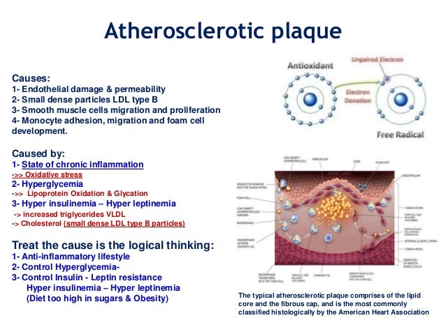 cancer as a metabolic disease pdf download