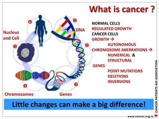 GenesChromosomes
Nucleus
and Cell
What is cancer ?
Little changes can make a big difference!
DNA
NORMAL CELLS
REGULATED GROWTH
CANCER CELLS
GROWTH 
AUTONOMOUS
CHROMOSOME ABERRATIONS 
NUMERICAL &
STRUCTURAL
GENES
POINT MUTATIONS
DELETIONS
INVERSIONS
 