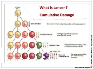 CANCER CELLS
What is cancer ?
Cumulative Damage
 