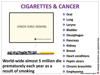 CIGARETTES & CANCER
Oral
Lung
Larynx
Bladder
Oesophagus
Pancreas
Kidney
Breast
Heart conditions
Peptic ulcers
Chronic bronchitis
Emphysema
World-wide almost 5 million die
prematurely each year as a
result of smoking
 