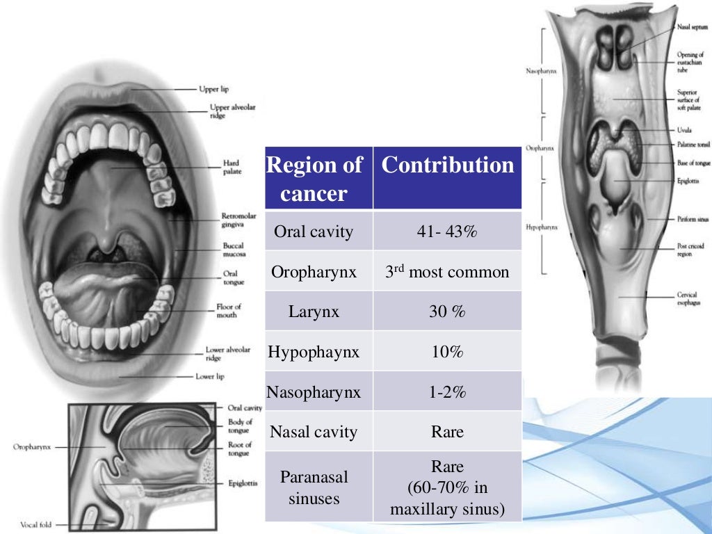Cancer of head & neck basics