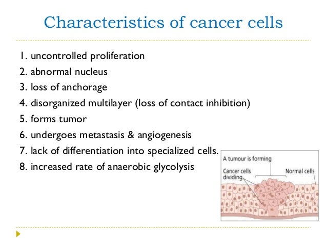 cancer biology cancer biology