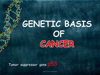 GENETIC BASIS
OF
CANCER
Tumor suppressor gene p53
@PIYUSH.R.SHARMA
 