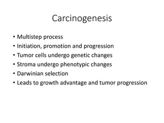 Carcinogenesis
• Multistep process
• Initiation, promotion and progression
• Tumor cells undergo genetic changes
• Stroma undergo phenotypic changes
• Darwinian selection
• Leads to growth advantage and tumor progression
 