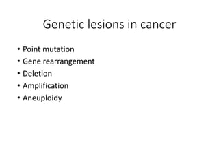Genetic lesions in cancer
• Point mutation
• Gene rearrangement
• Deletion
• Amplification
• Aneuploidy
 