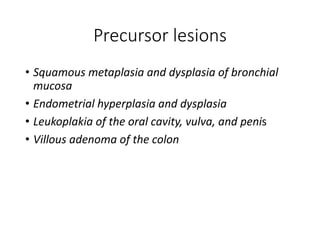 Precursor lesions
• Squamous metaplasia and dysplasia of bronchial
mucosa
• Endometrial hyperplasia and dysplasia
• Leukoplakia of the oral cavity, vulva, and penis
• Villous adenoma of the colon
 