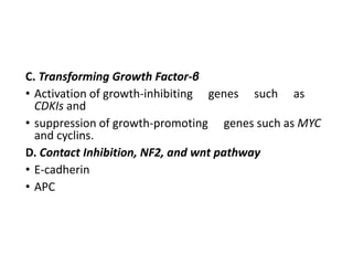 C. Transforming Growth Factor-β
• Activation of growth-inhibiting genes such as
CDKIs and
• suppression of growth-promoting genes such as MYC
and cyclins.
D. Contact Inhibition, NF2, and wnt pathway
• E-cadherin
• APC
 