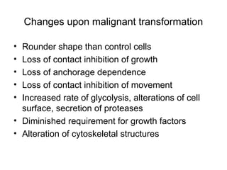 Cancer Biology- mechanisms of carcinogenesis .ppt