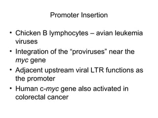 Cancer Biology- mechanisms of carcinogenesis .ppt