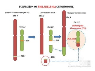 Cancer Biology- mechanisms of carcinogenesis .ppt