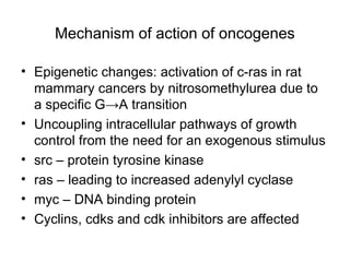 Cancer Biology- mechanisms of carcinogenesis .ppt