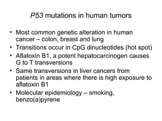 Cancer Biology- mechanisms of carcinogenesis .ppt
