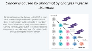 Cancer is caused by abnormal by changes in gense
:Mutation
Cancers are caused by damage to the DNA in your
cells. These changes are called “gene mutations.”
Gene mutations can build up in cells in your body
over time. Cells with too many mutations may stop
working normally, grow out of control and become
cancerous. It can take many years for cells to build
enough damage to become cancer.
 