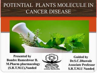 POTENTIAL PLANTS MOLECULE IN
CANCER DISEASE
Presented by
Bondre Rameshwar B.
M.Pharm pharmacology
(S.R.T.M.U),INDIA
1
 