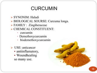 CURCUMIN
 SYNONIM: Haladi
 BIOLOGICAL SOURSE: Curcuma longa.
 FAMILY : Zingiberaceae
 CHEMICAL CONSTITUENT:
 curcumin
 Demethoxycurcumin
 bisdemethoxycurcumin
 USE: anticancer
 antiinflamatory,
 Woundhealing
so many use.
16
 