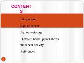  Introduction
 Type of cancer
Pathophysiology
Different herbal plants shows
anticancer activity
References
2
CONTENT
S
 