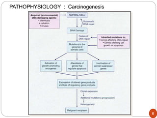 PATHOPHYSIOLOGY : Carcinogenesis
6
 
