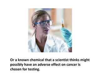 Sometimes a scientist has a bright idea for a drug
that might interfere with cellular growth and
formulates a chemical combination from scratch.
 