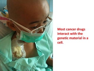 Of the 40 cancer drugs currently around, 26 of them
are commercially available. Any chemical that
interferes with the mechanism of natural cell
division is a candidate.
 