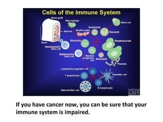 When we identify cancer cells inside the body, it’s the
white blood cells of the immune system, which are
multiplying and dividing the fastest to fight the
 